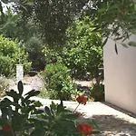 Panorama *