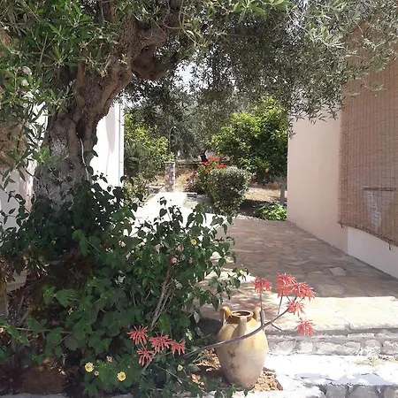 Panorama Lejlighed *