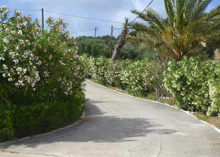 Panorama * 메토니